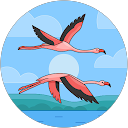 VAIBHAVI GUPTA profile picture